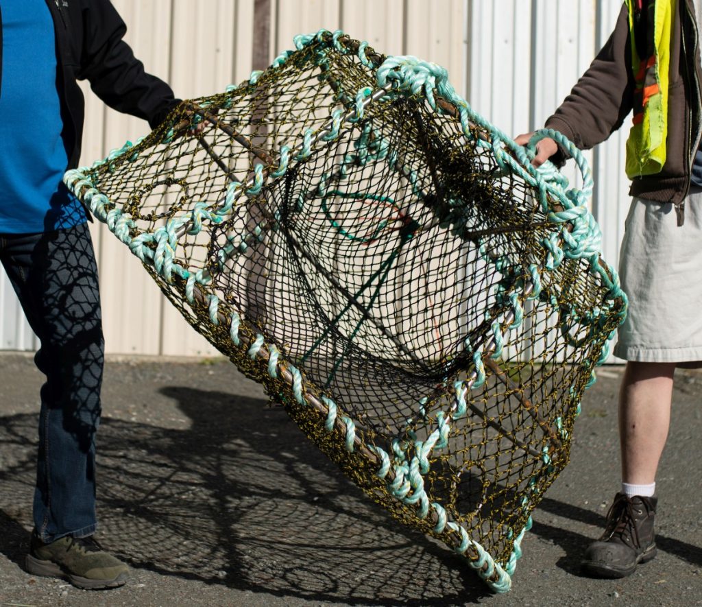 Fishing Traps Canada, Black Cod Traps